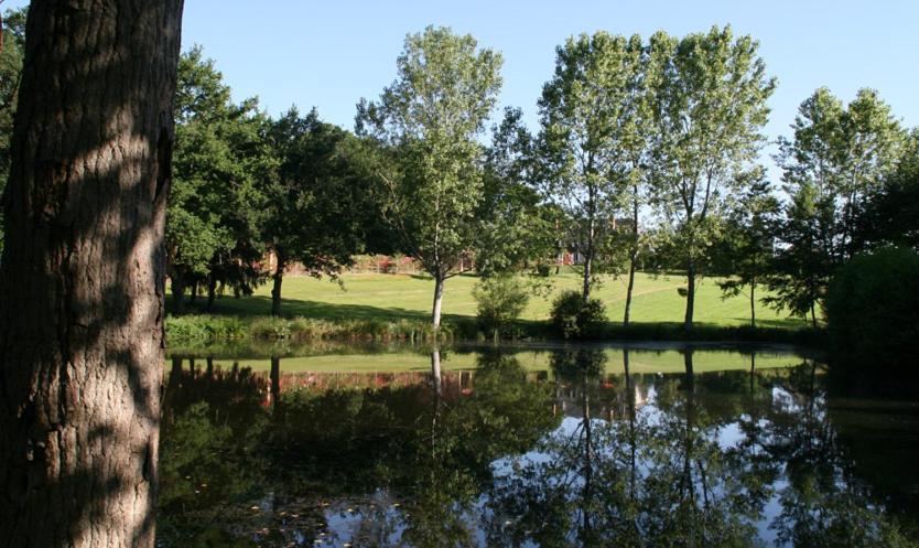 Domaine De Vilotte Bed and Breakfast Ardenais Esterno foto