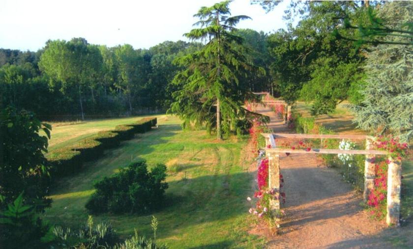 Domaine De Vilotte Bed and Breakfast Ardenais Esterno foto
